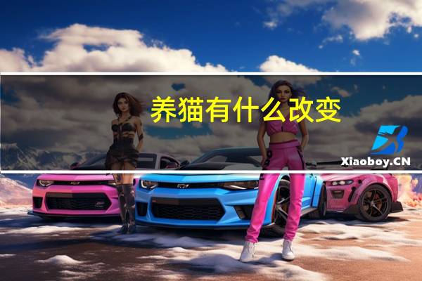 养猫有什么改变