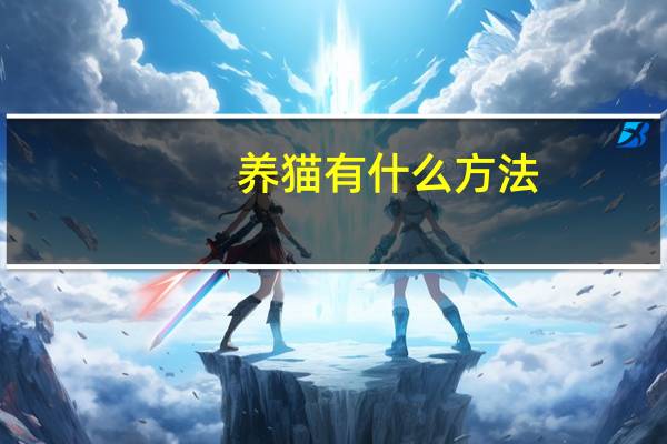 养猫有什么方法