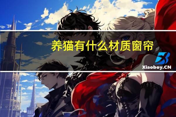 养猫有什么材质窗帘