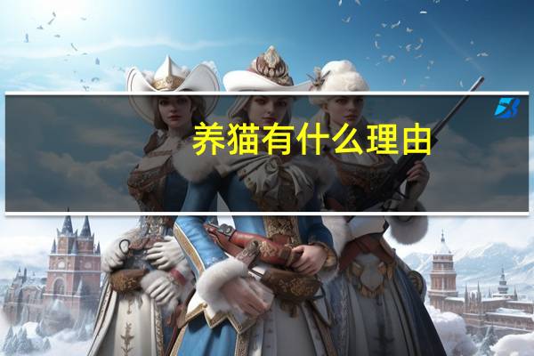 养猫有什么理由