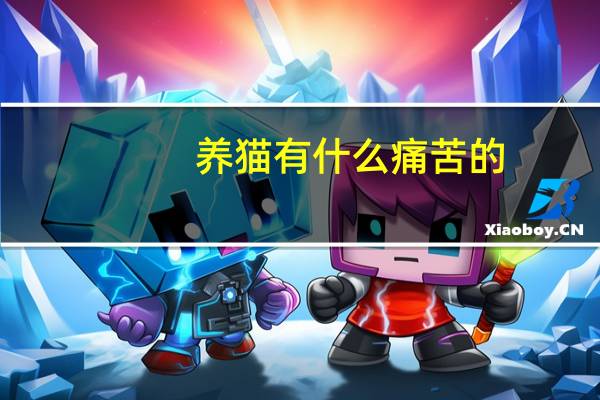 养猫有什么痛苦的