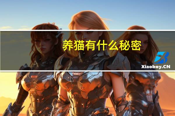 养猫有什么秘密