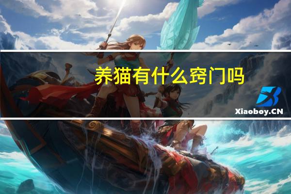 养猫有什么窍门吗