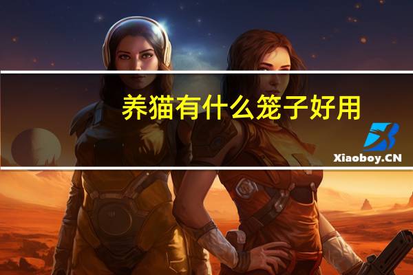 养猫有什么笼子好用