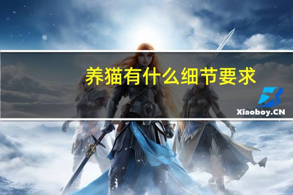 养猫有什么细节要求