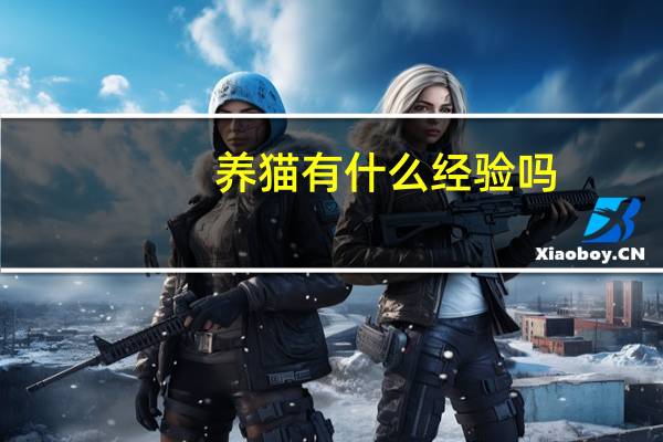 养猫有什么经验吗