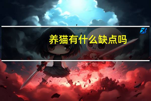 养猫有什么缺点吗