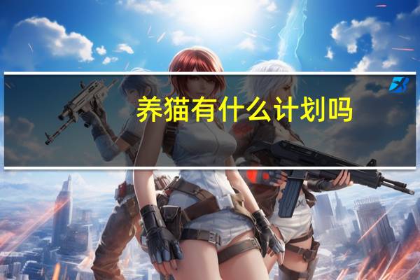 养猫有什么计划吗