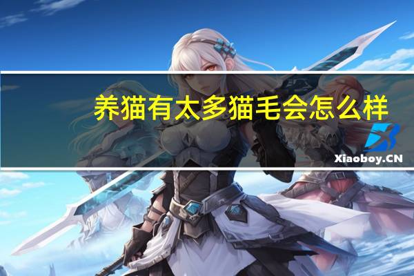 养猫有太多猫毛会怎么样