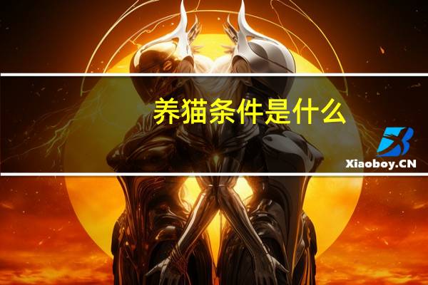 养猫条件是什么