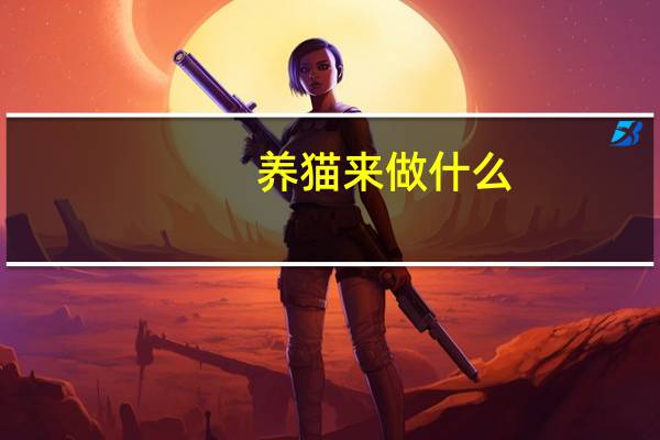 养猫来做什么