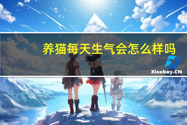 养猫每天生气会怎么样吗