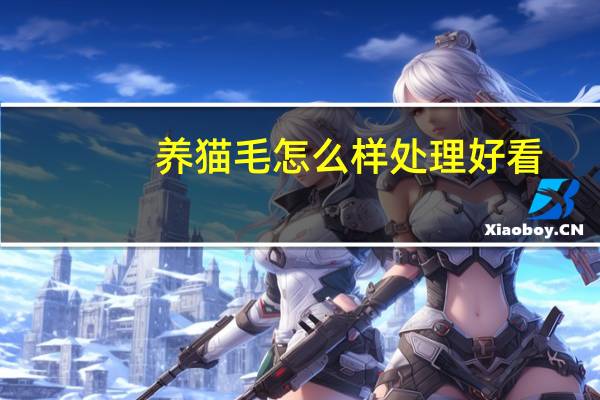 养猫毛怎么样处理好看
