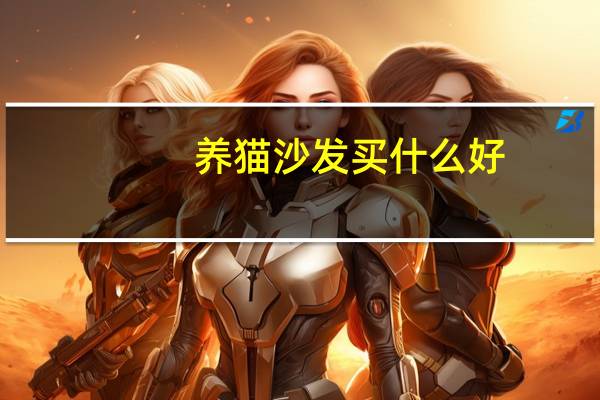 养猫沙发买什么好