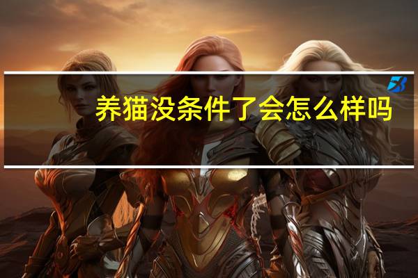 养猫没条件了会怎么样吗