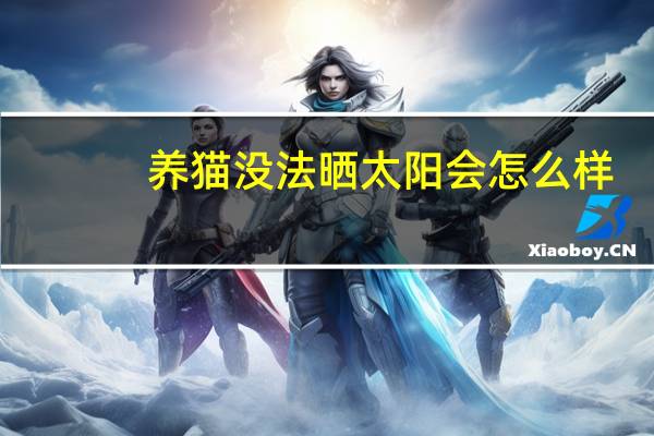 养猫没法晒太阳会怎么样