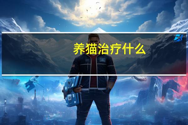 养猫治疗什么
