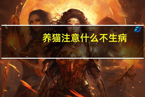 养猫注意什么不生病