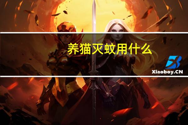 养猫灭蚊用什么