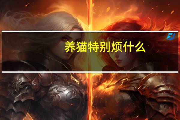 养猫特别烦什么