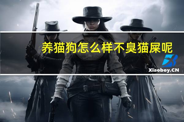 养猫狗怎么样不臭猫屎呢