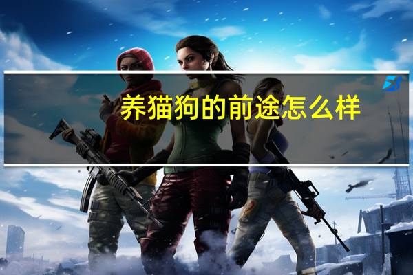 养猫狗的前途怎么样