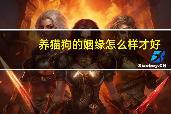 养猫狗的姻缘怎么样才好
