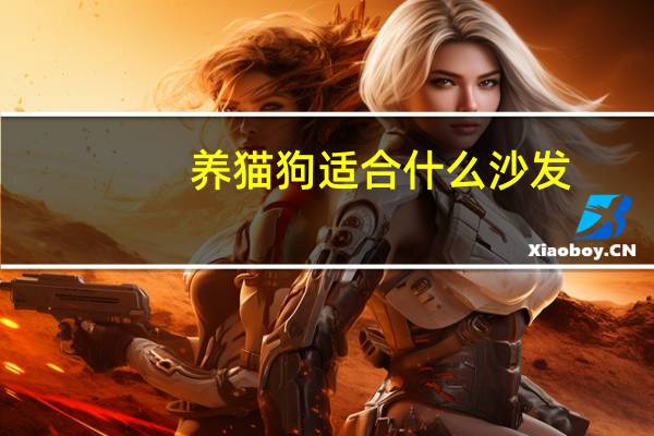 养猫狗适合什么沙发