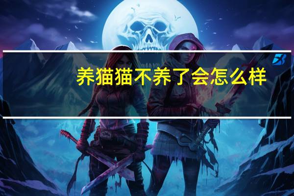 养猫猫不养了会怎么样