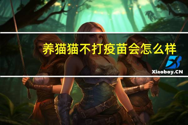 养猫猫不打疫苗会怎么样