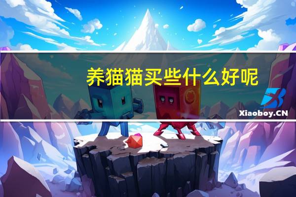 养猫猫买些什么好呢