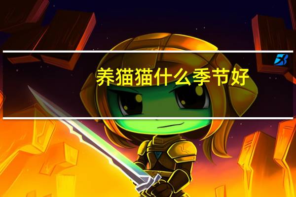 养猫猫什么季节好