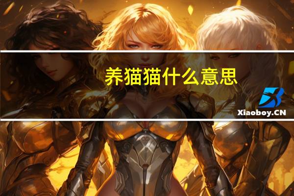 养猫猫什么意思