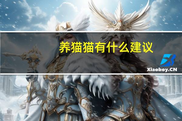 养猫猫有什么建议