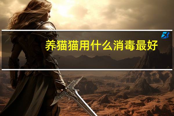 养猫猫用什么消毒最好