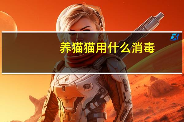 养猫猫用什么消毒