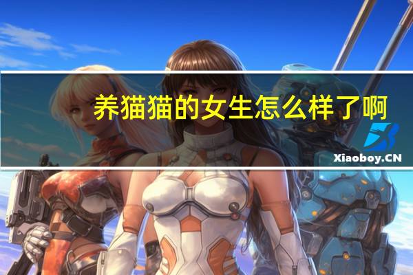 养猫猫的女生怎么样了啊