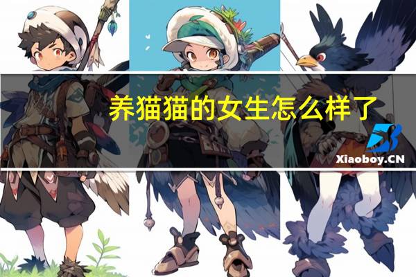 养猫猫的女生怎么样了