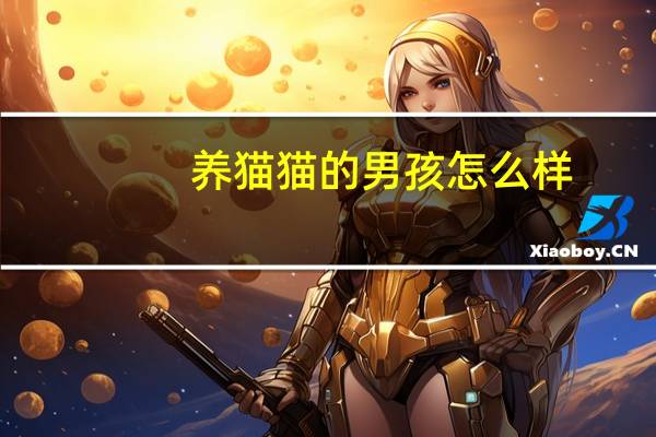 养猫猫的男孩怎么样