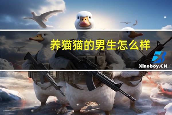 养猫猫的男生怎么样