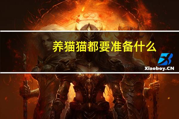 养猫猫都要准备什么