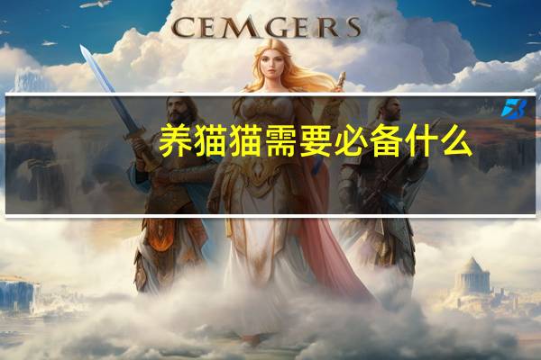 养猫猫需要必备什么