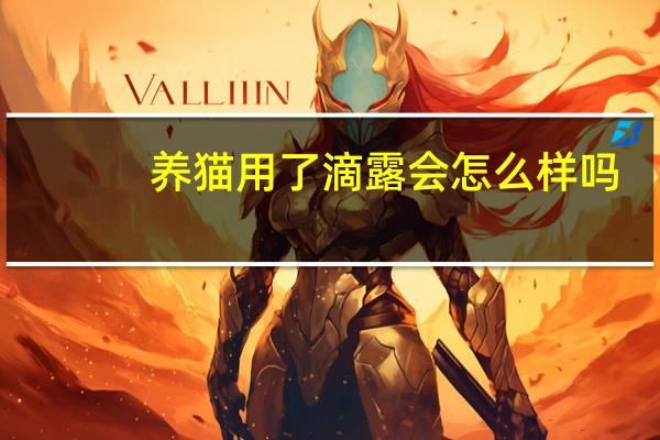 养猫用了滴露会怎么样吗