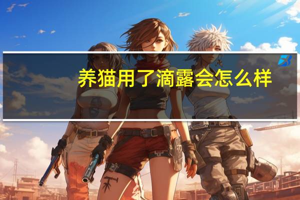 养猫用了滴露会怎么样