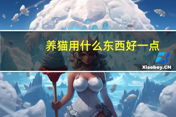 养猫用什么东西好一点