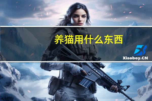 养猫用什么东西