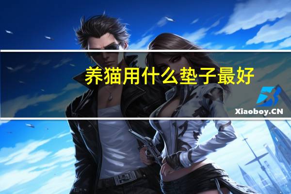 养猫用什么垫子最好