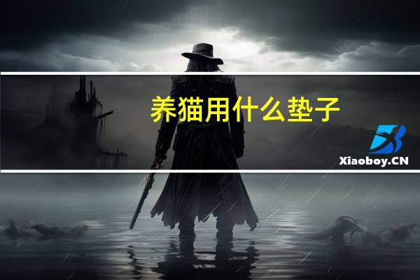 养猫用什么垫子