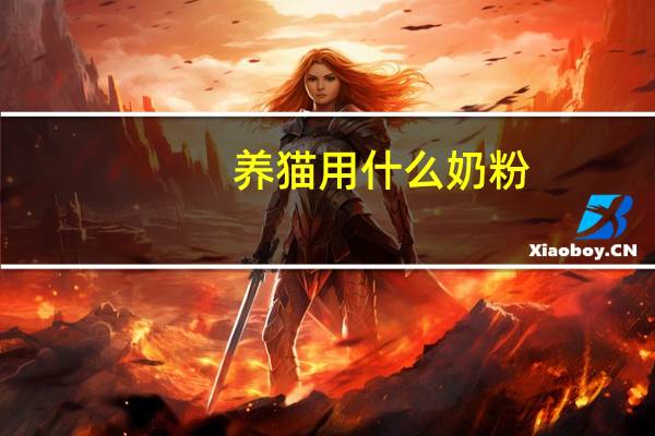 养猫用什么奶粉