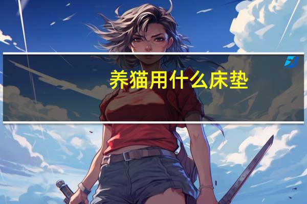 养猫用什么床垫